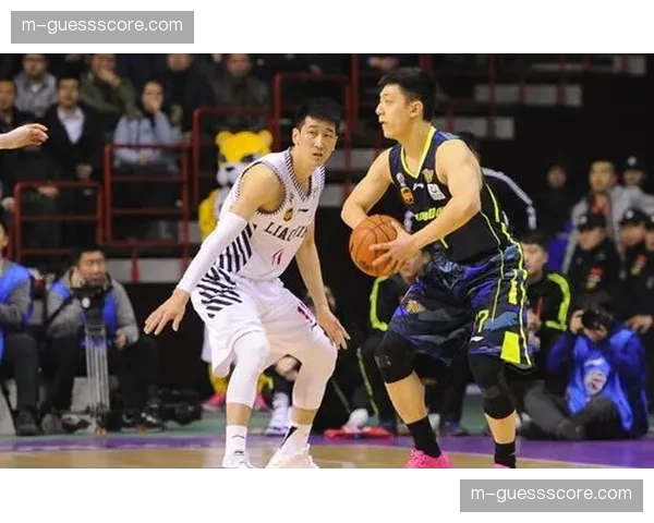 上海对阵福建，张镇麟关键时刻两记暴扣拯救球队